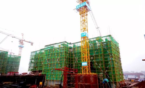 壹號家書丨北風(fēng)促急,江灣工程加速趕進(jìn)