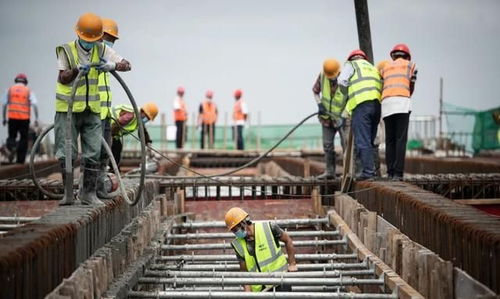 武大高速公路又有新進(jìn)展,未來建成后武漢至大悟車程縮短至一小時